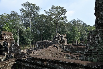 �ϐ�����F���R