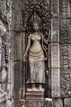 �e���X�̃f�o�^�[