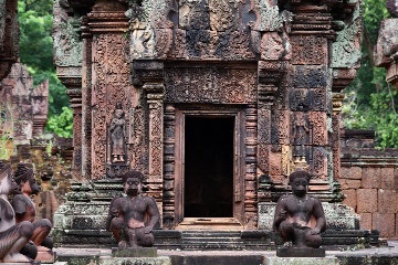 �f�o�^�[��