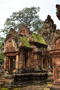 �����K���t�߂̌������Q