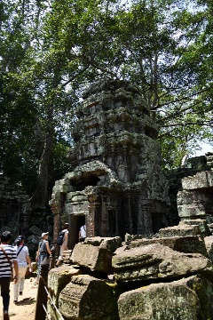 �����K���t��