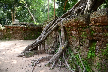 ���ǂ𕢂��؂̍�