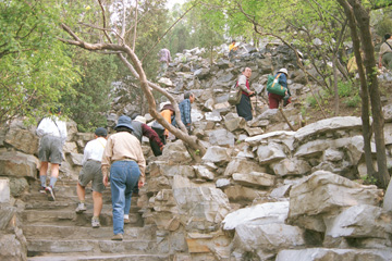 �����Ȃ�o�R