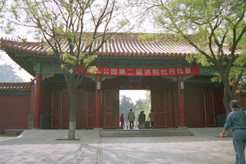 �i�R���������