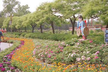 �i�R�����̉�