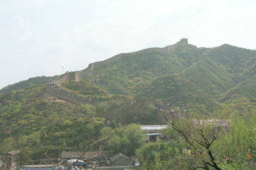 �����̒���F�j��