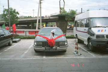 �������̎�