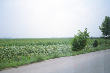 �g�E�����R�V��