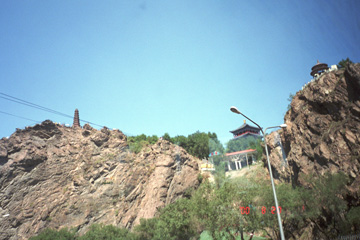 �g�R����