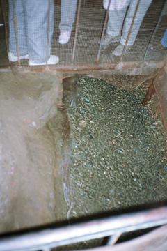 �J���[�Y�̐���