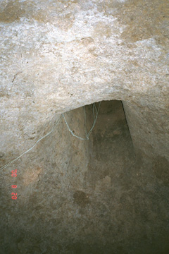 �J���[�Y�̏c��