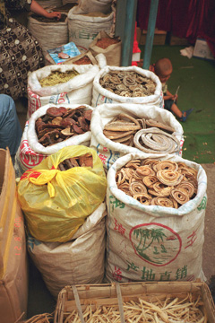 �����L�m�R�Ɗ����w�r