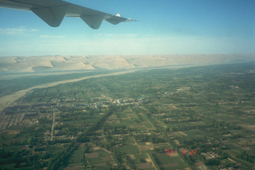 �����I�A�V�X�Ɩ��R