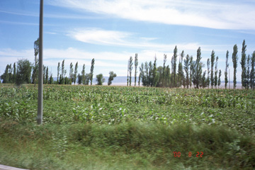 �c�����i