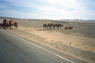 �����̒T�����o���n