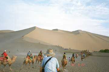 �����֌�����