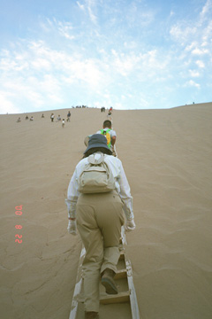 ���R�ɓo��