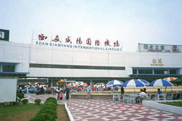 ������`�֓���