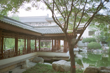 ���ؕo�ق̒�