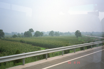 ���n�ڍB�֌�����