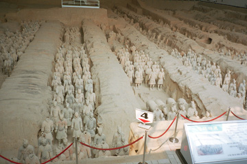 �P���B�����P