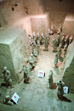 �R���B����