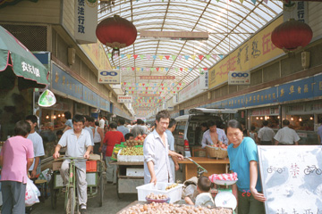 �V���b�s���O���[��