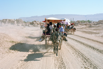 �ǂ������郍�o��