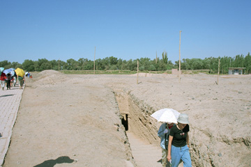 �A�X�^�[�i�Õ��Q