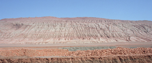 �Ή��R�S�i