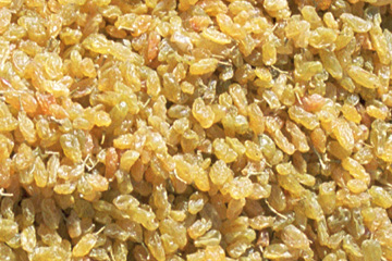 ���������̃A�b�v