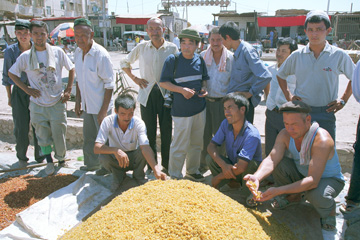 �I�V�̊������������