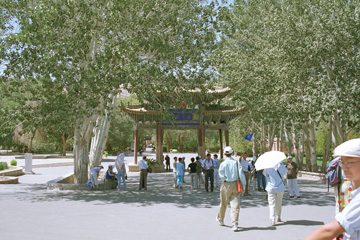 �����A�̖�