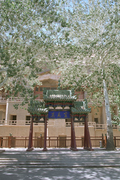 ��̊O���猩���A