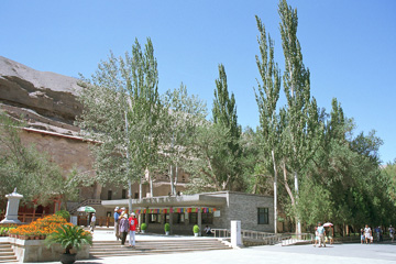 �I�A�V�X�̖؁X