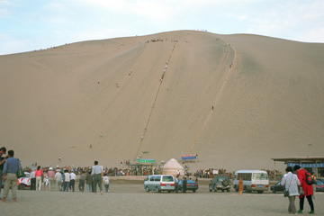 ���R�̒�q