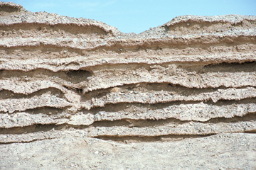 ����̃A�b�v