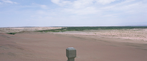 �z�ւ̃p�m���}�P