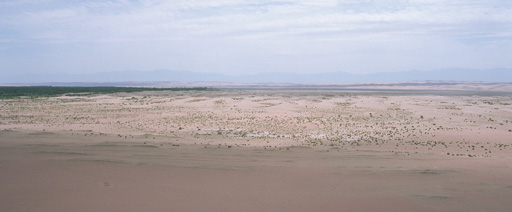 �z�ւ̃p�m���}�Q