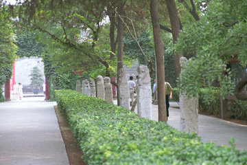 ��т̔n���