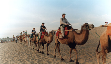 ���N�_�ɏ��Q