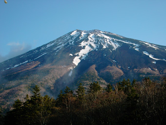 �x�m�R�X�J�C���C�����猩���x�m�R