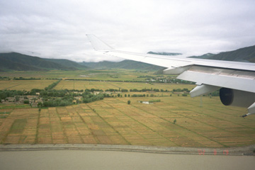 ��`�߂��̔�