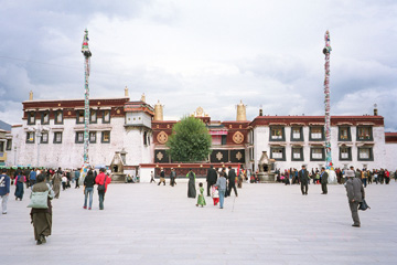 �W���J������