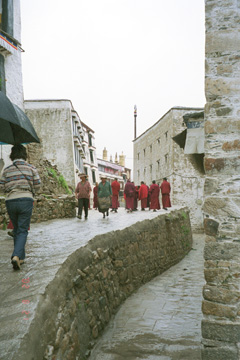 �f�v���������̓��P