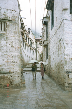 �f�v���������̓��Q