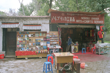 �m���u�����J�̓y�Y��