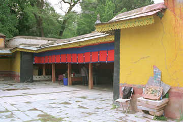 �P���T���E�|�^��