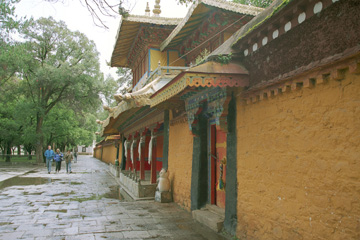 �c�H�L���E�|�^���t�߁H