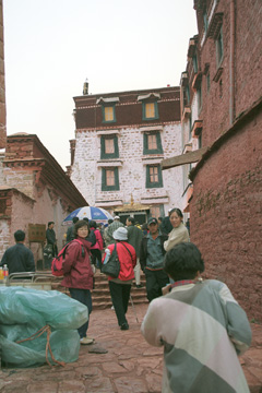 �g�{������t��